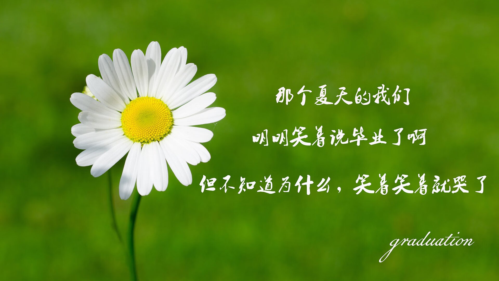 _街头文化与体育结合：新型都市运动风潮_，街头运动风格