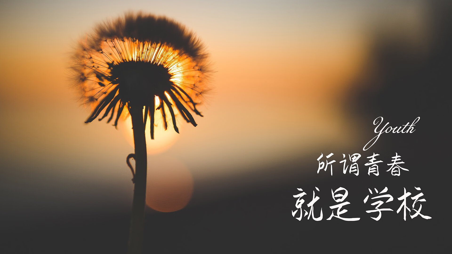“大数据与AI驱动的比赛预测模型，正重塑棒球战术制定新格局”