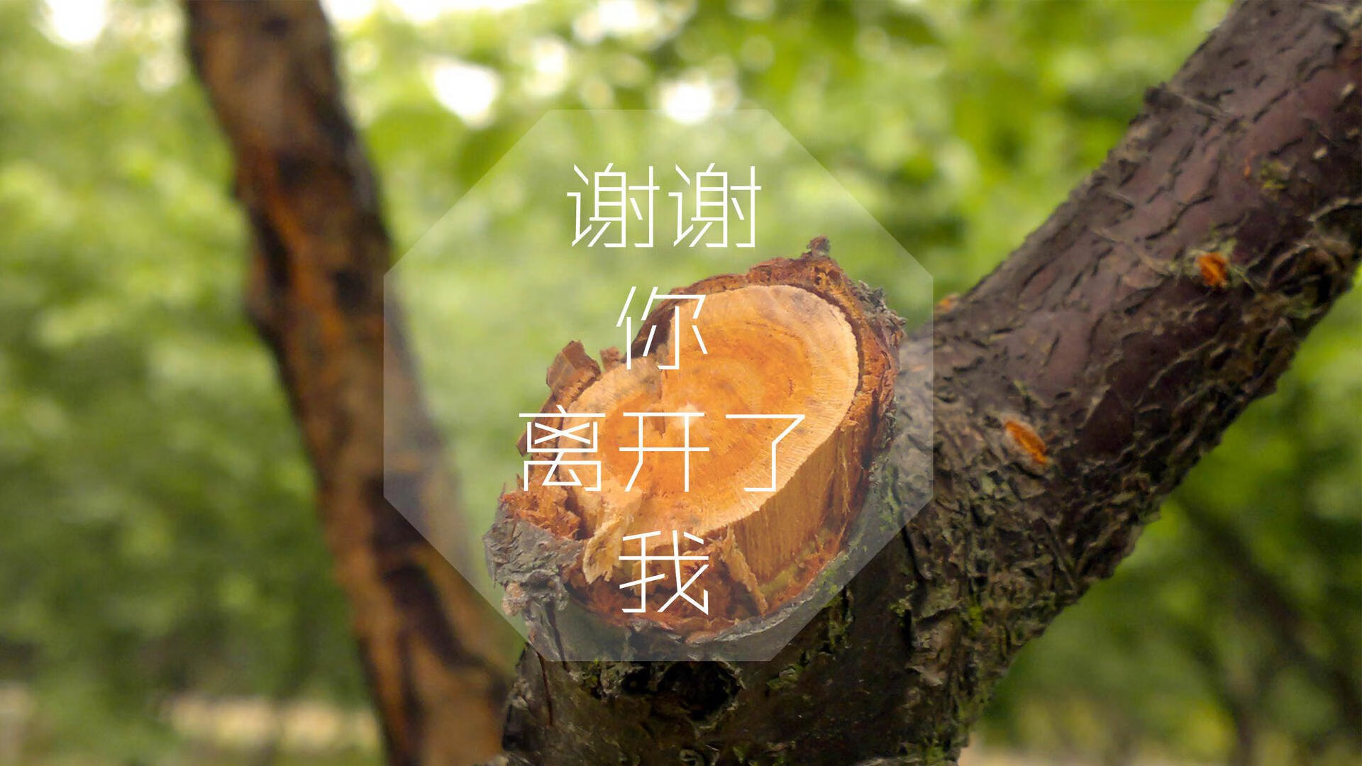 成都兴城球员面临激烈比拼，备战迎战，成都兴城足球微博!!!!!!!!!