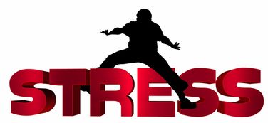 九游（jiuyou.com）游戏-NBA球员心理压力识别及干预技术研究，nba球员性格问题