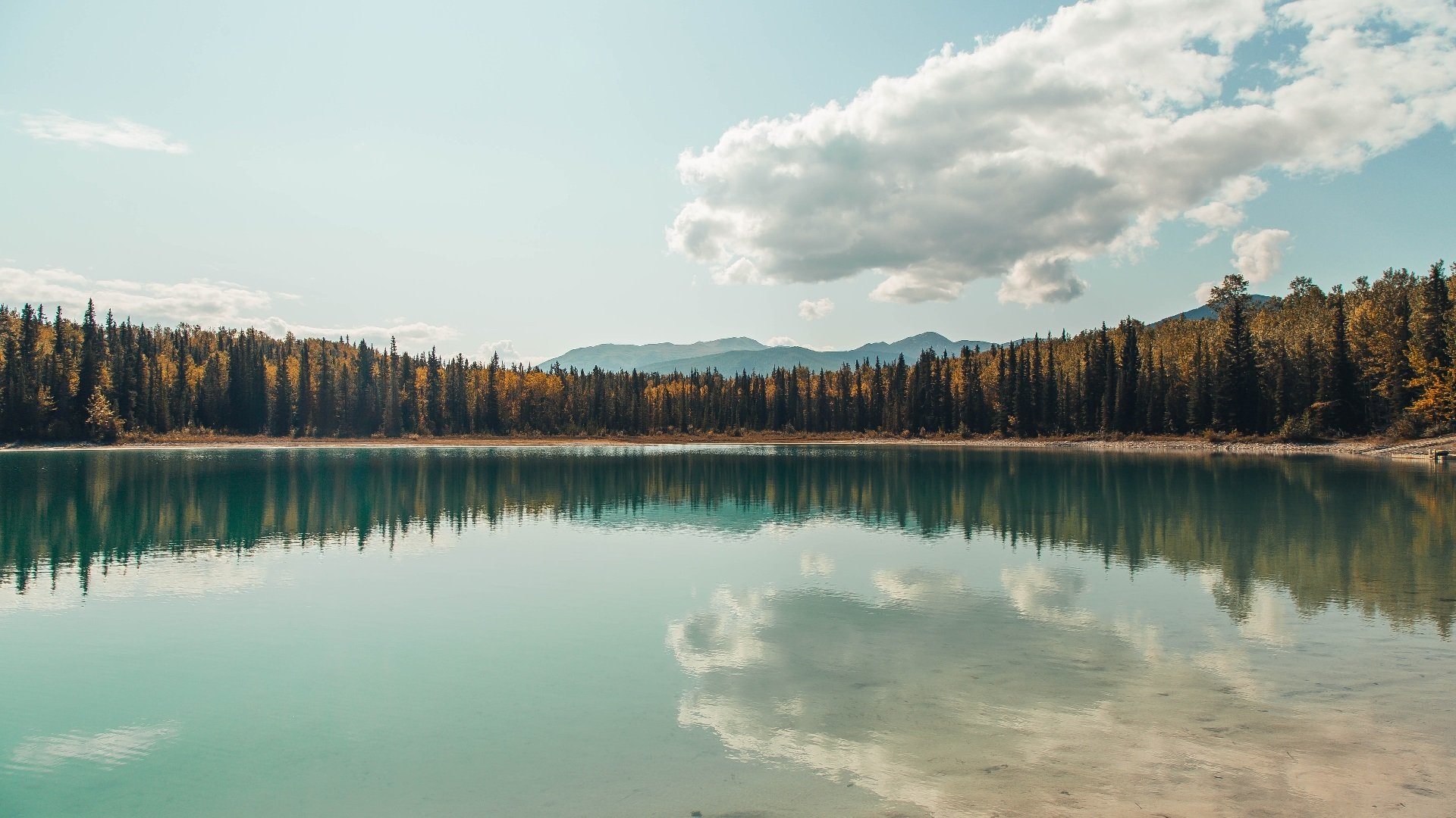 中国女篮提高阵地战处理能力，中国女篮最新战报