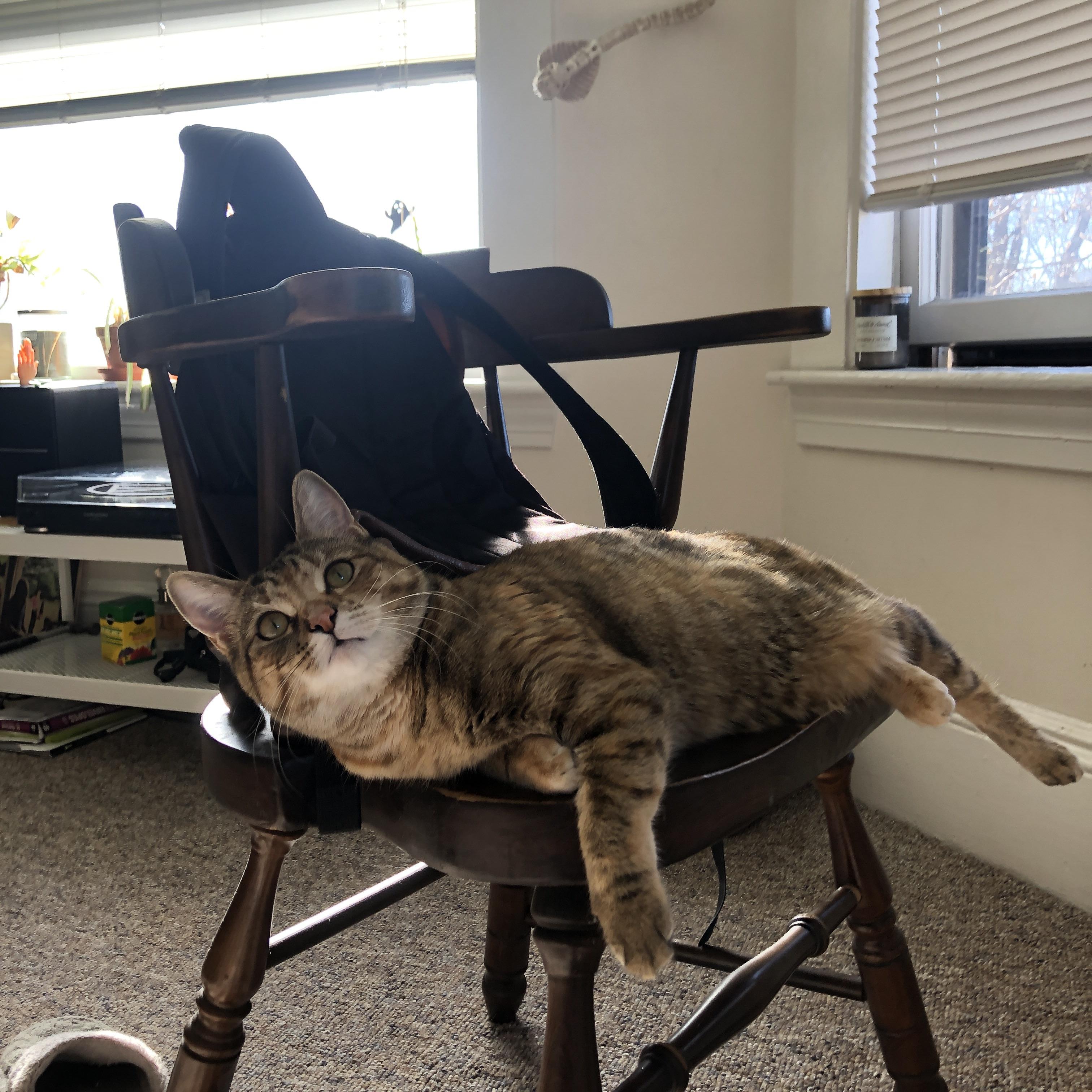 Jiu You-中超联赛数据分析 中国队爆冷成焦点，中超联赛战况