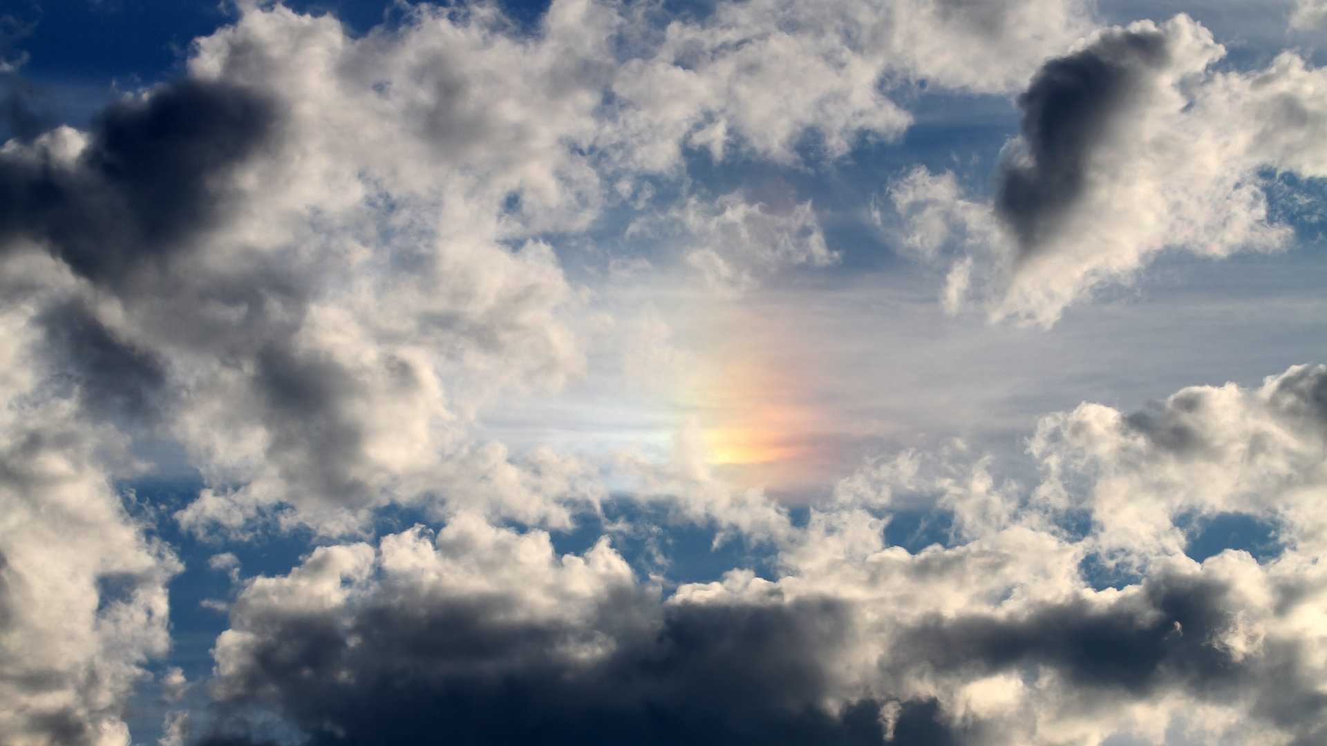 九游网页版官网-男子接力德国队小组赛力压英国，德国田径接力