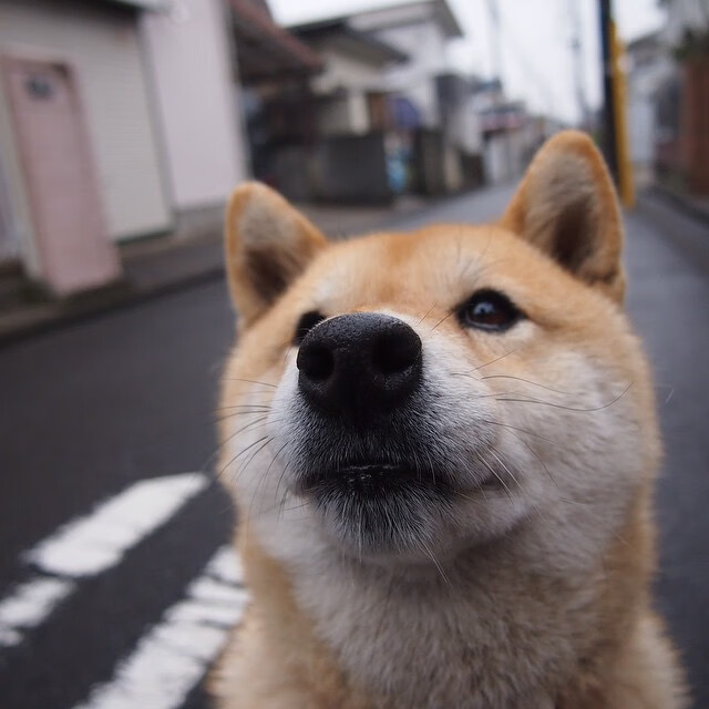 九游下载安装-联盟中最擅长在弱侧得分的球员分析，nba弱侧手