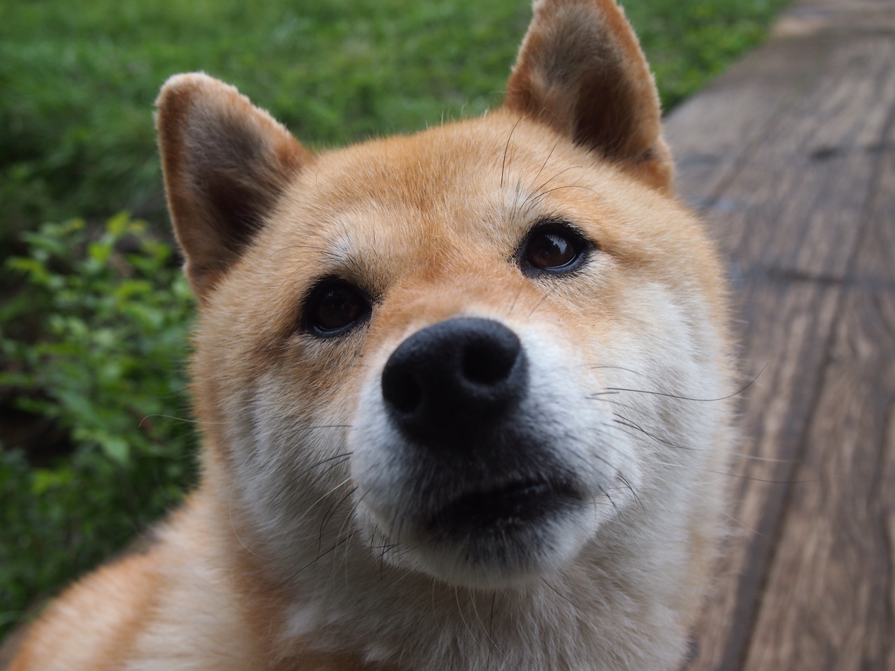 转换进攻中节奏控制对对位防守的压制力，转换进攻跟攻守转换的区别