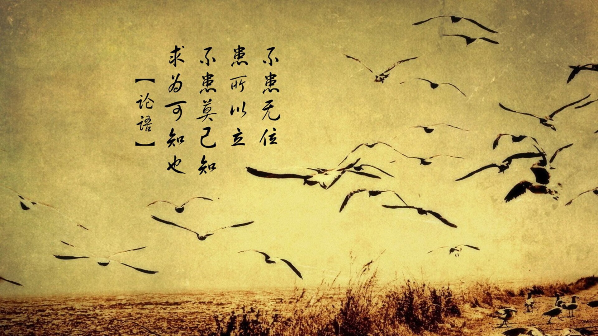 备战细节决定成败走向,细节战略决定成败辩论反方