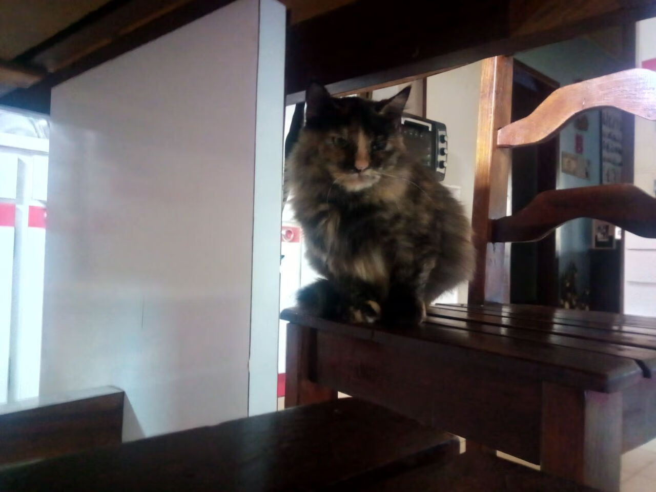 戴维·帕特森的球场领导力和战术灵活性，为袋鼠队赢得关键比赛