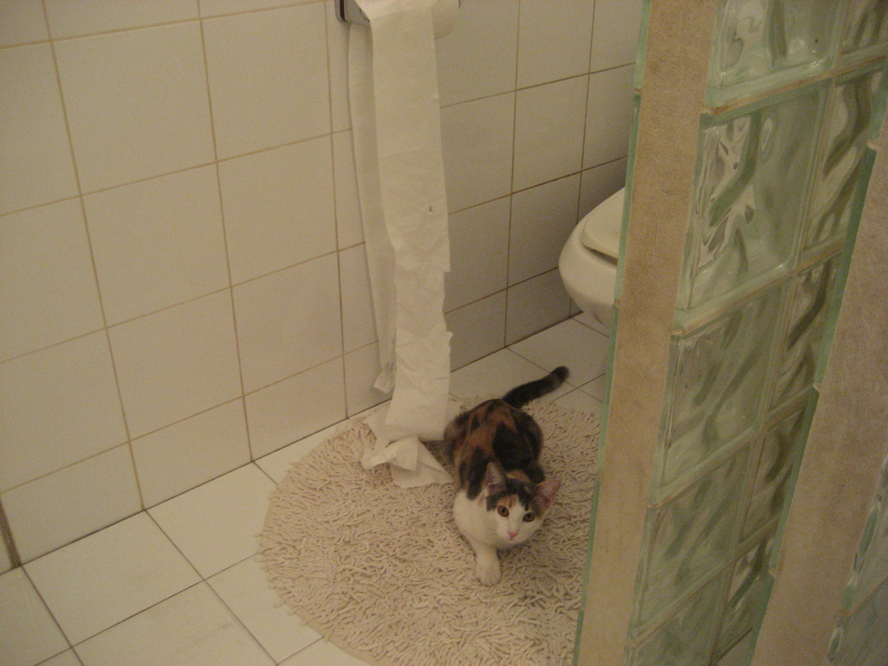 九游娱乐官网 (jiuyou)-橄榄球冠军锦标赛：南半球四国各显神通，胜者为王，橄榄球精彩赛事