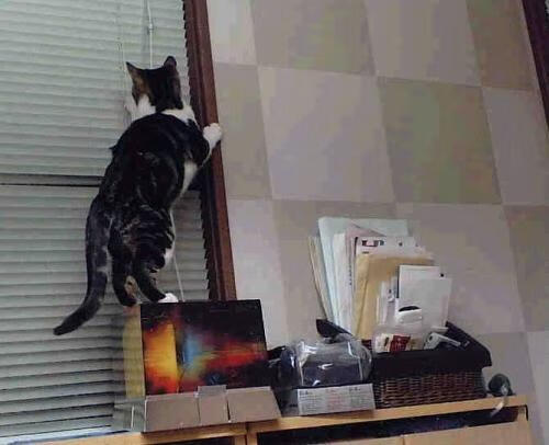 九游下载官网-法甲高手对决：战术多变，火花四溅，法甲冲突视频