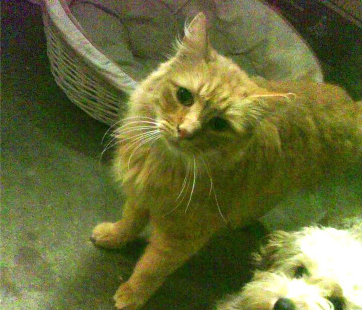 九游娱乐官网 (JIUYOU)-篮球训练营招生信息，篮球馆训练营招生技巧