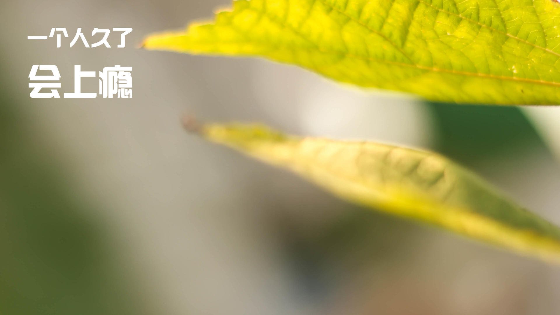 Jiuyou-米切尔突破犀利骑士反击连得八分，米切尔休战三将20+补缺 爵士力擒灰熊喜迎7连胜